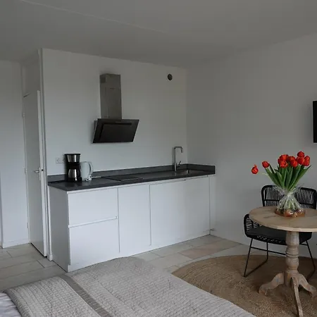 アパートホテル Huize De Duinen ベルゲン・アーン・ゼー