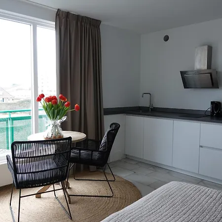 アパートホテル Huize De Duinen 3*