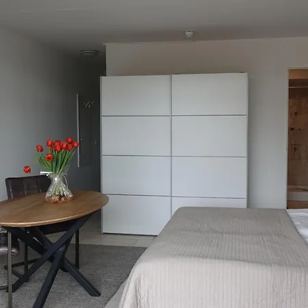 Huize De Duinen アパートホテル