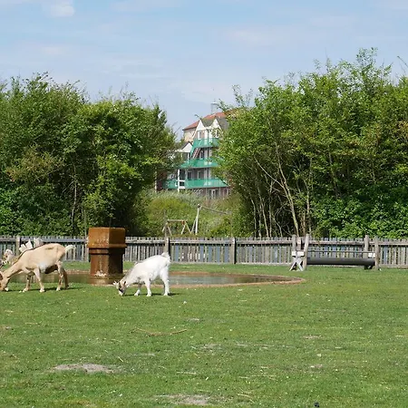 Huize De Duinen Aparthotel 3*