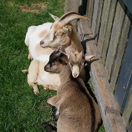 Huize De Duinen アパートホテル 3*