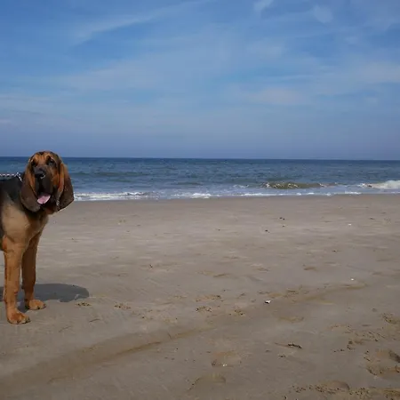 Huize De Duinen Bergen aan Zee