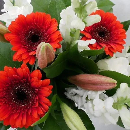 Aparthotel Huize De Duinen 3*