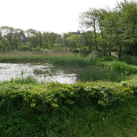 Huize De Duinen 3* 버겐안지