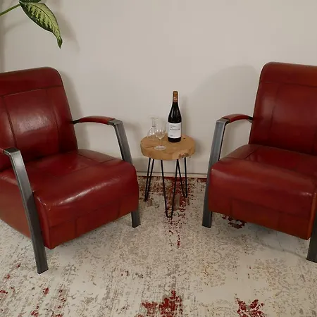 מלון דירות Huize De Duinen 3*