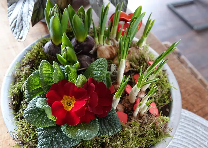 Appart hôtel Huize De Duinen