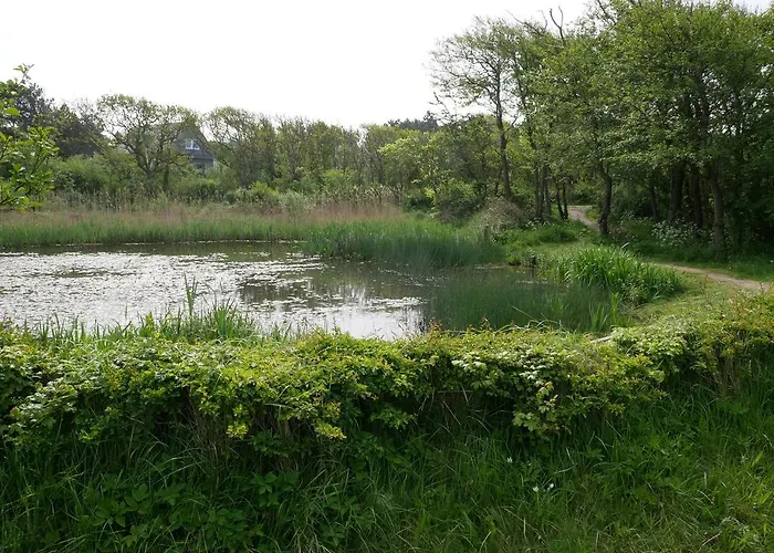 Huize De Duinen 3* Bergen aan Zee